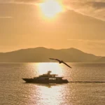 LA PELLEGRINA - 33