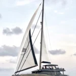 grayone (21)